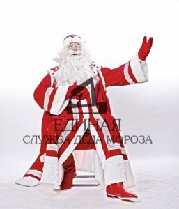 дед мороз на новый год